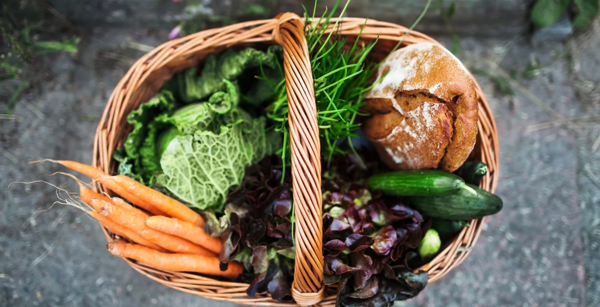 Le restaurant - Le Patio du Fouquet - Pornic - manger a PORNIC